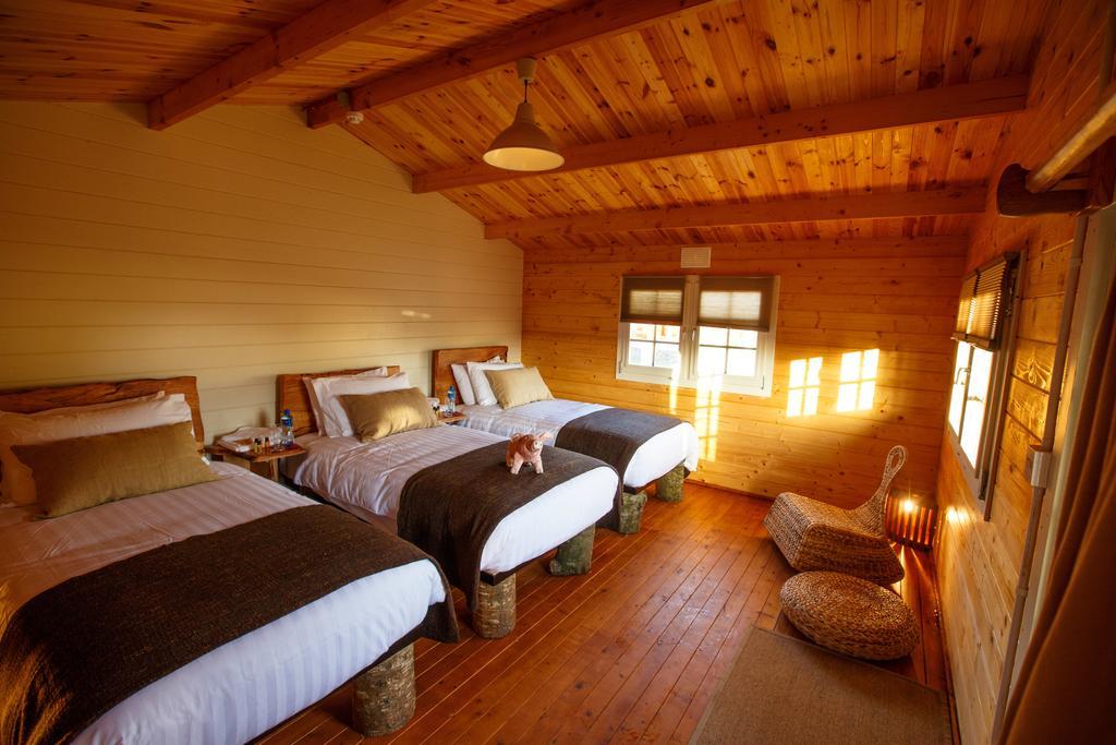 Giltraps Townhouse & Glamping Affittacamere Kinnitty